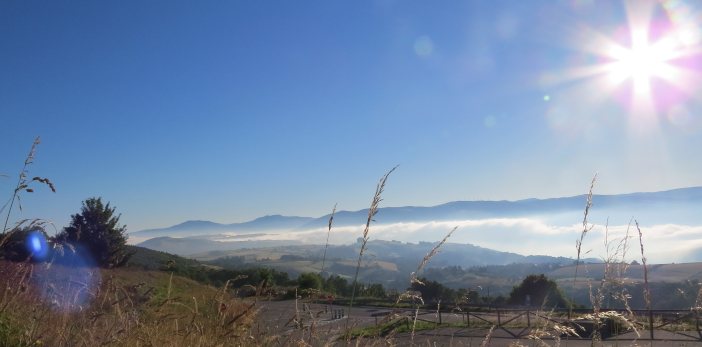 CaminoPrimitivo_20160724_IMG_0545_702x347.jpg - 207,81 kB